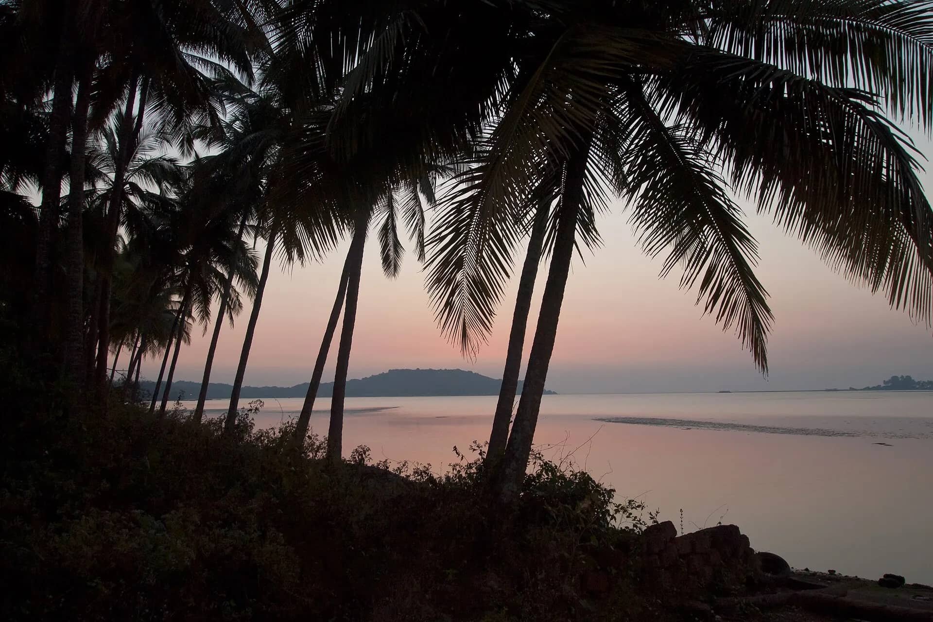 Palm fronds framing a calm bay after sunset